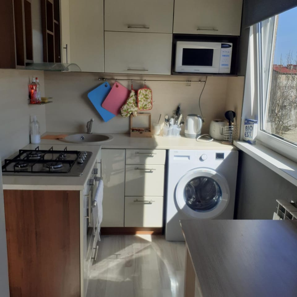 Kitchen or kitchenette, minibar, pet friendly, stove, toaster, washing machine