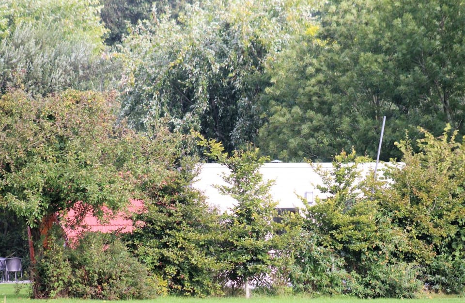Natural landscape, Garden