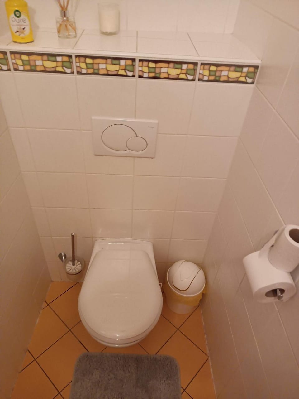 Toilet
