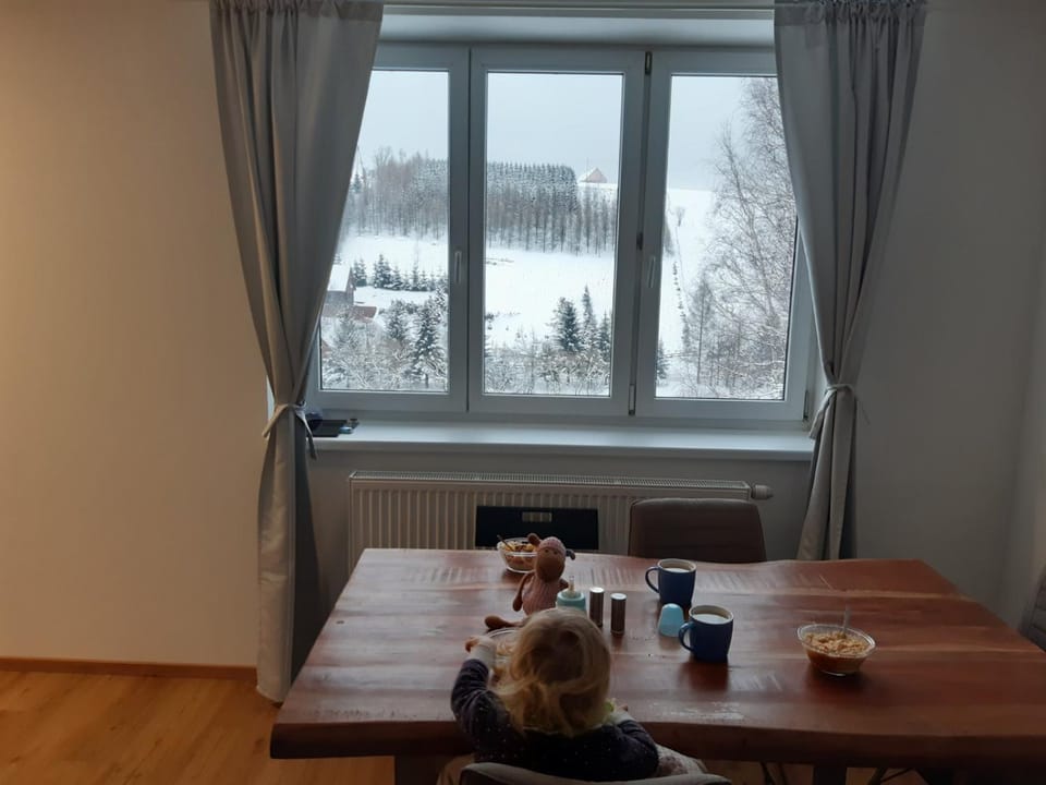 Apartmán u Kunštátského mlýna Apartment in Czechia