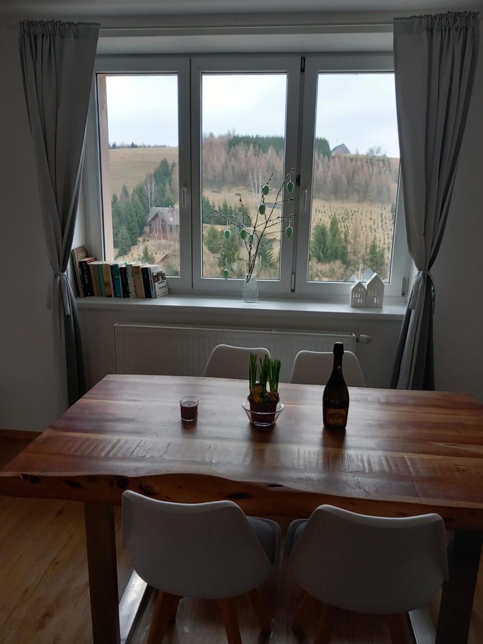 Apartmán u Kunštátského mlýna Apartment in Czechia