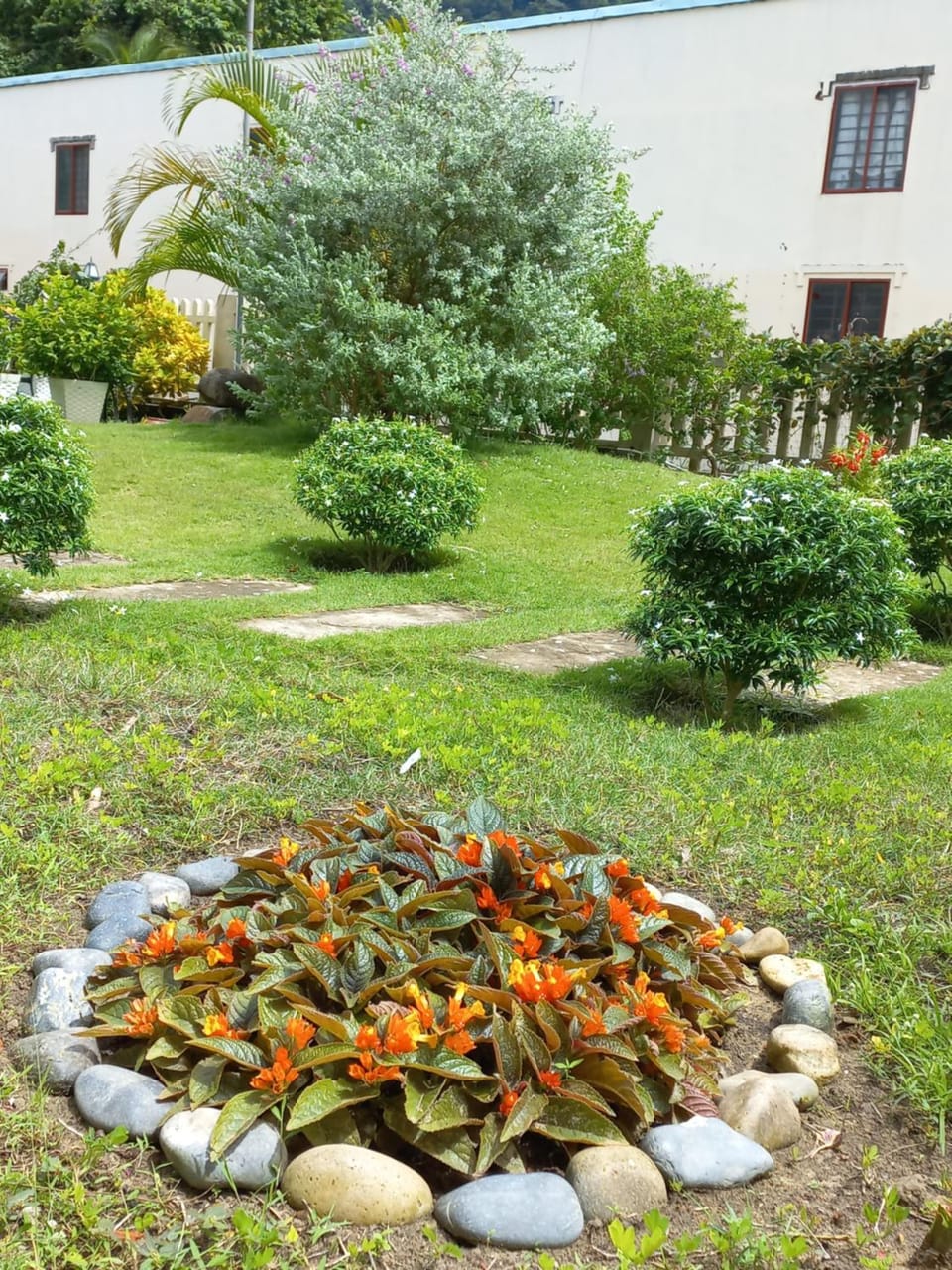 Garden, Balcony/Terrace, Inner courtyard view