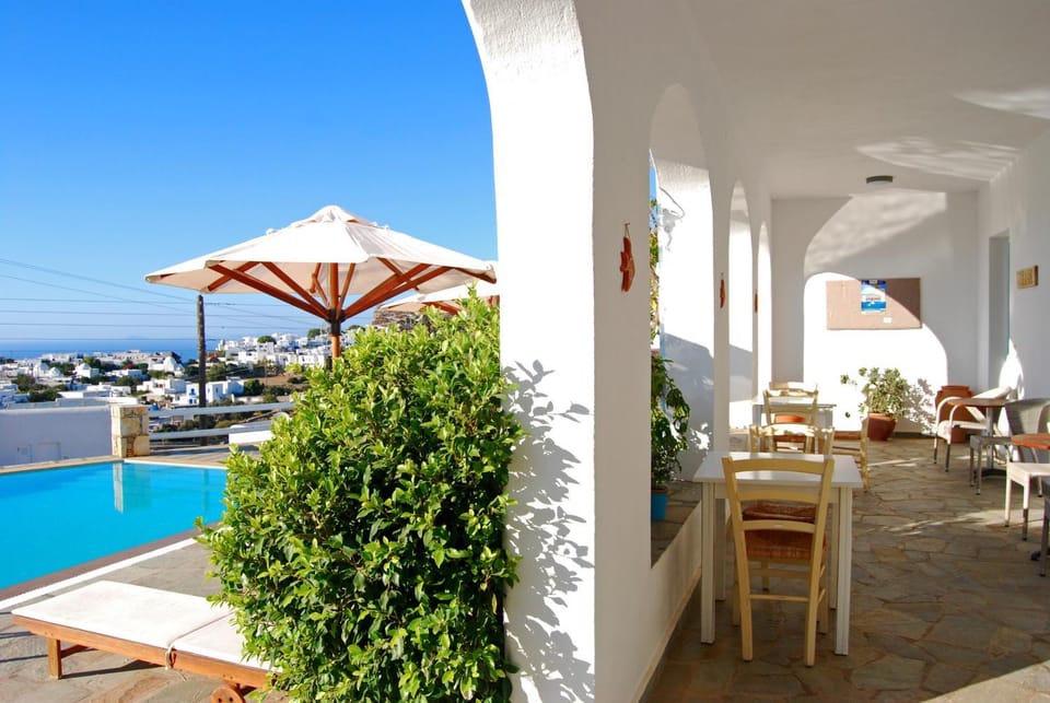 Garden, Seating area, Swimming pool
