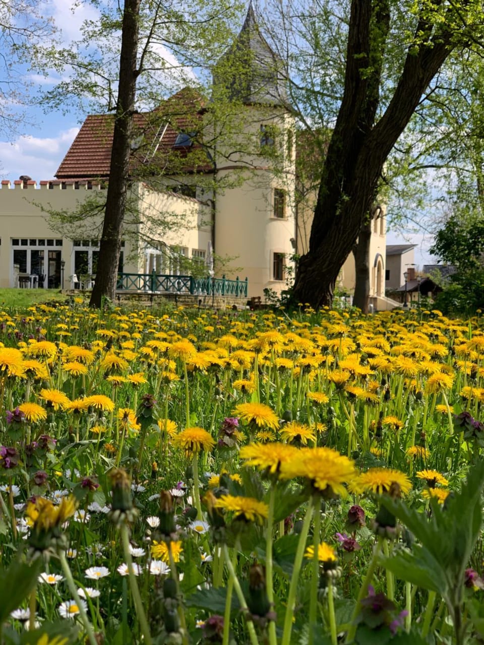 Property building, Restaurant/places to eat, Spring, Garden, Banquet/Function facilities, wedding