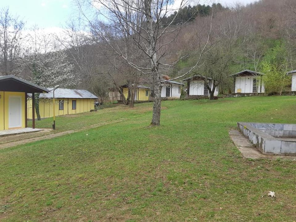 Property building, Garden, Other, furniture