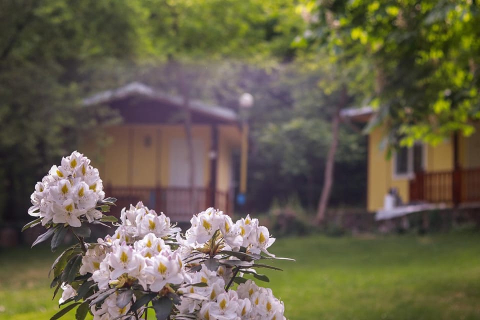 Property building, Garden, Other, furniture