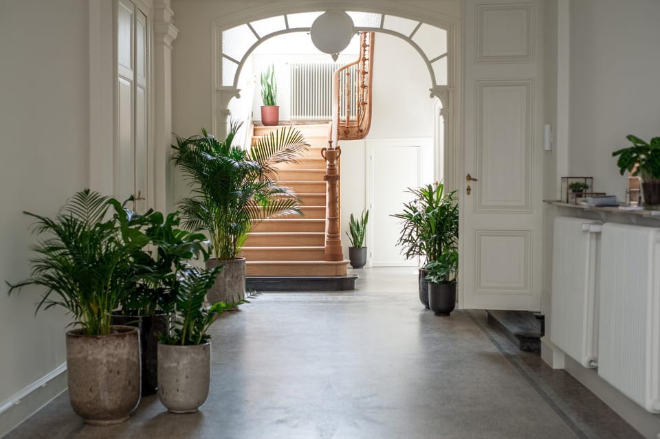 Property building, Lobby or reception