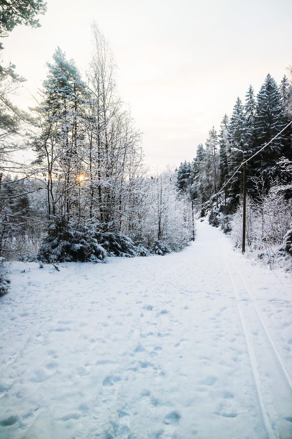 Neighbourhood, Natural landscape