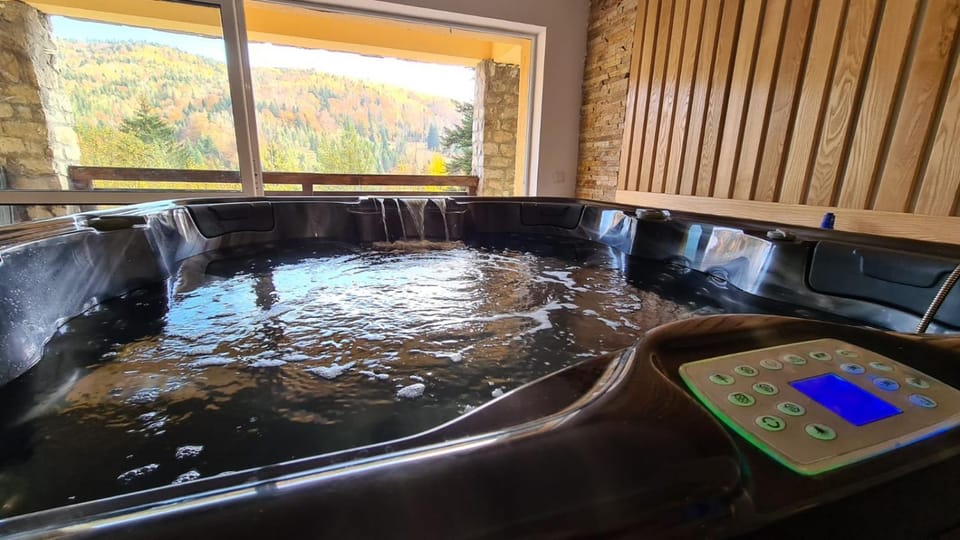 Vila Zen Villa in Romania