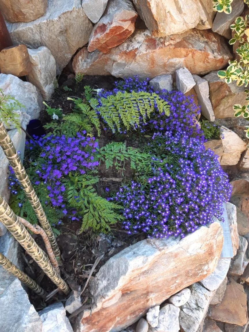Whispering Waves House in Port Elizabeth