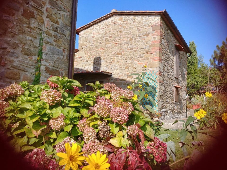 Property building, Spring, Garden, Garden view