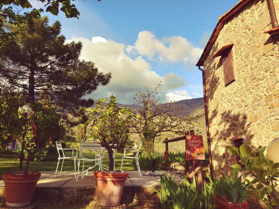 Spring, Garden, Area and facilities