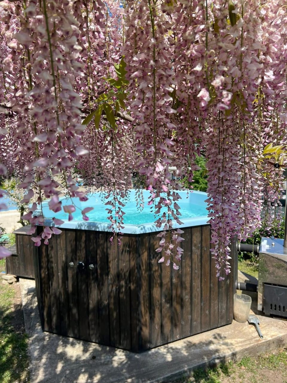 La Păstrăvărie Bed and Breakfast in Serbia
