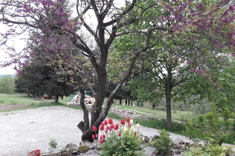 Gîte Le Pilat House in Provence-Alpes-Côte d'Azur