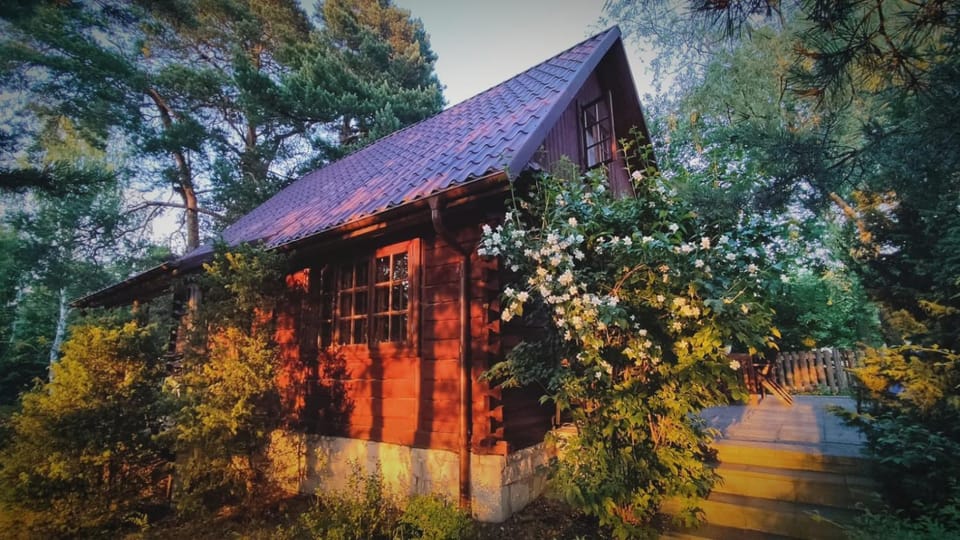 Property building, Spring