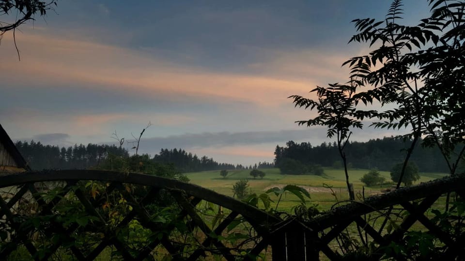Mountain view