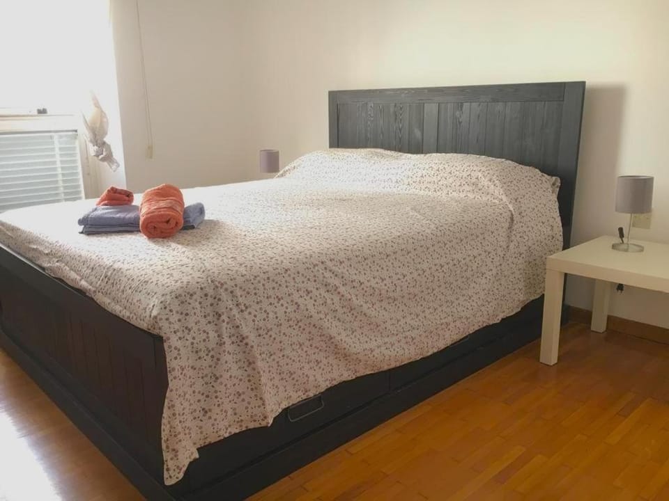 Santa teresa 15\2 Apartment in Turin