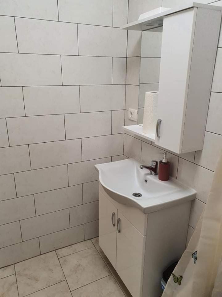 Aldi 1 Apartment in Pula
