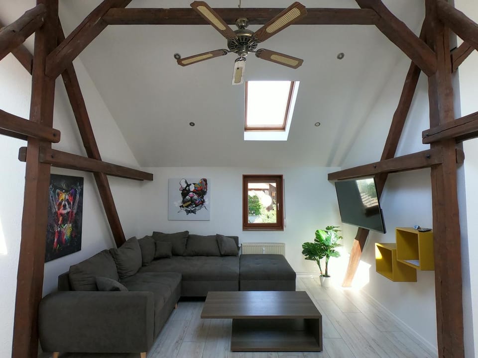 Die Göttinger Ferienwohnung, alt trifft modern! House in Göttingen