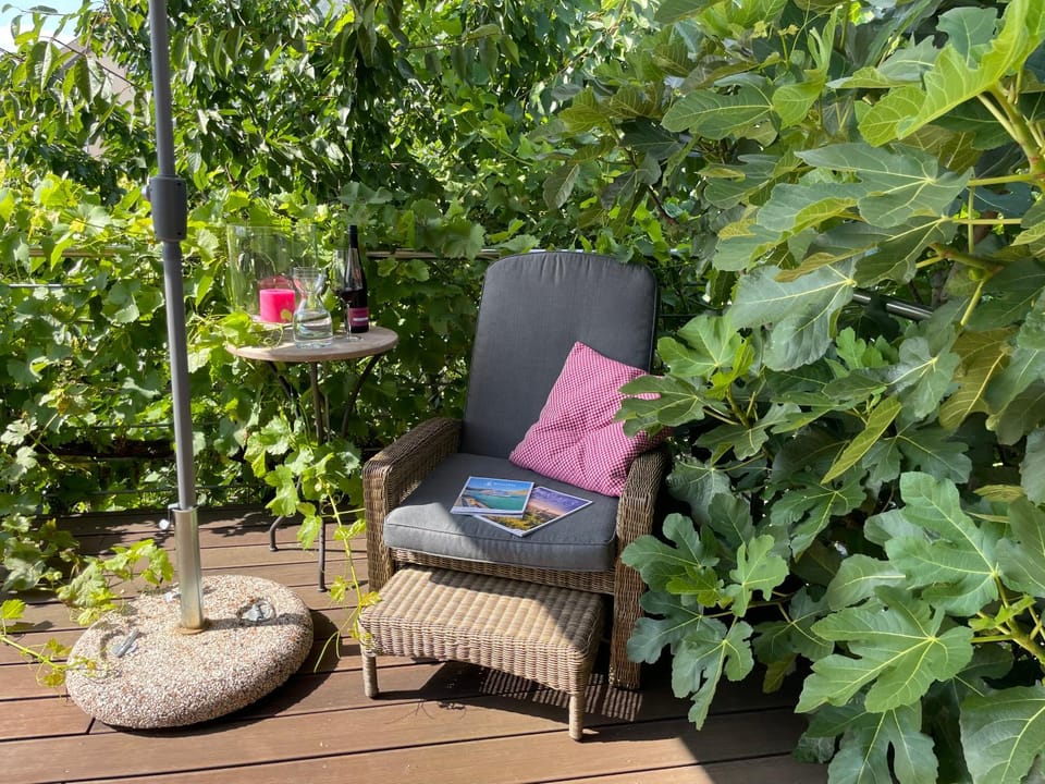 Balcony/Terrace, Balcony/Terrace