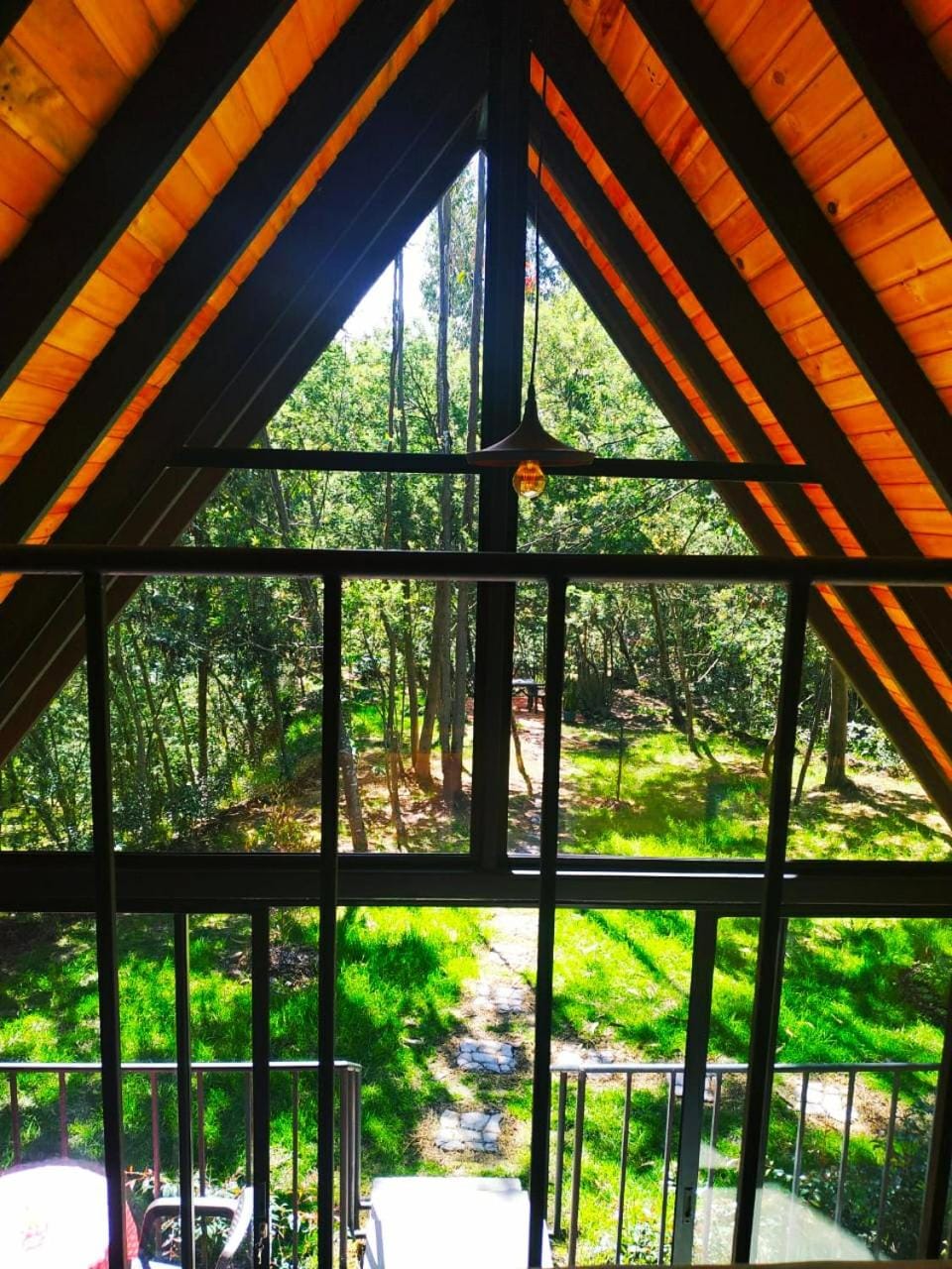 Garden view