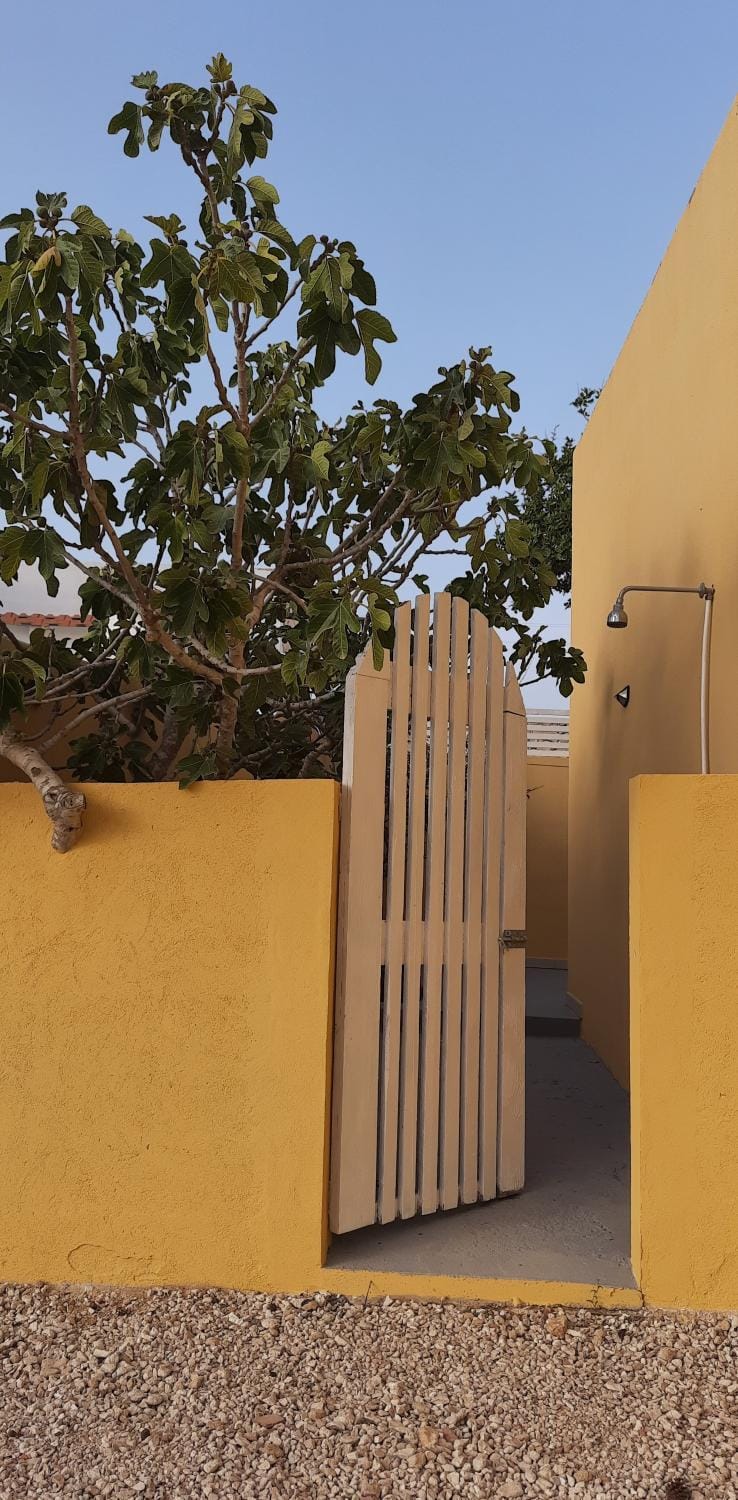 Facade/entrance, Garden
