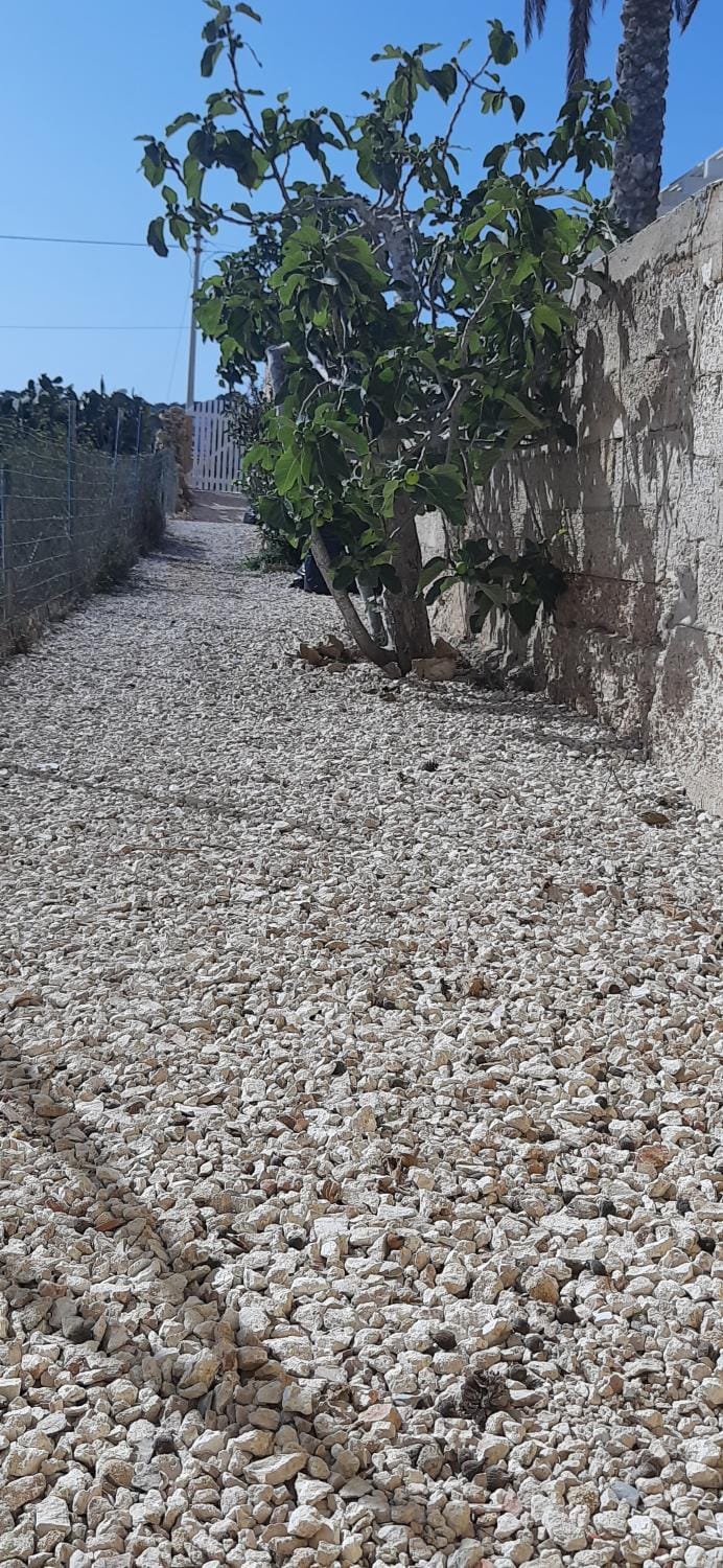 Natural landscape, Garden