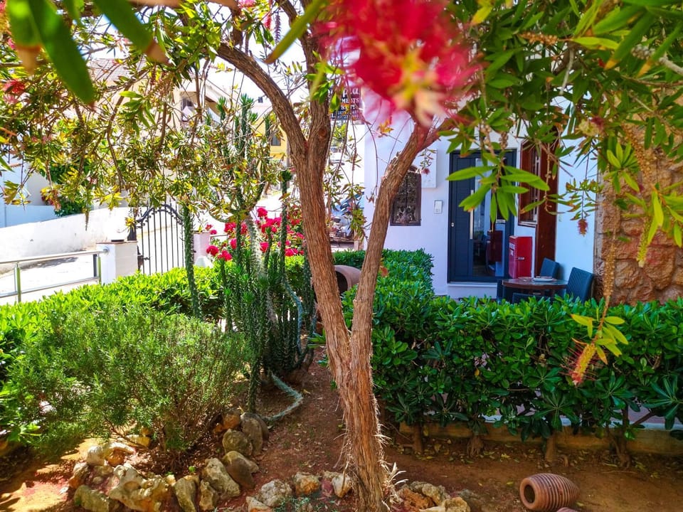 Patio, Facade/entrance, Garden