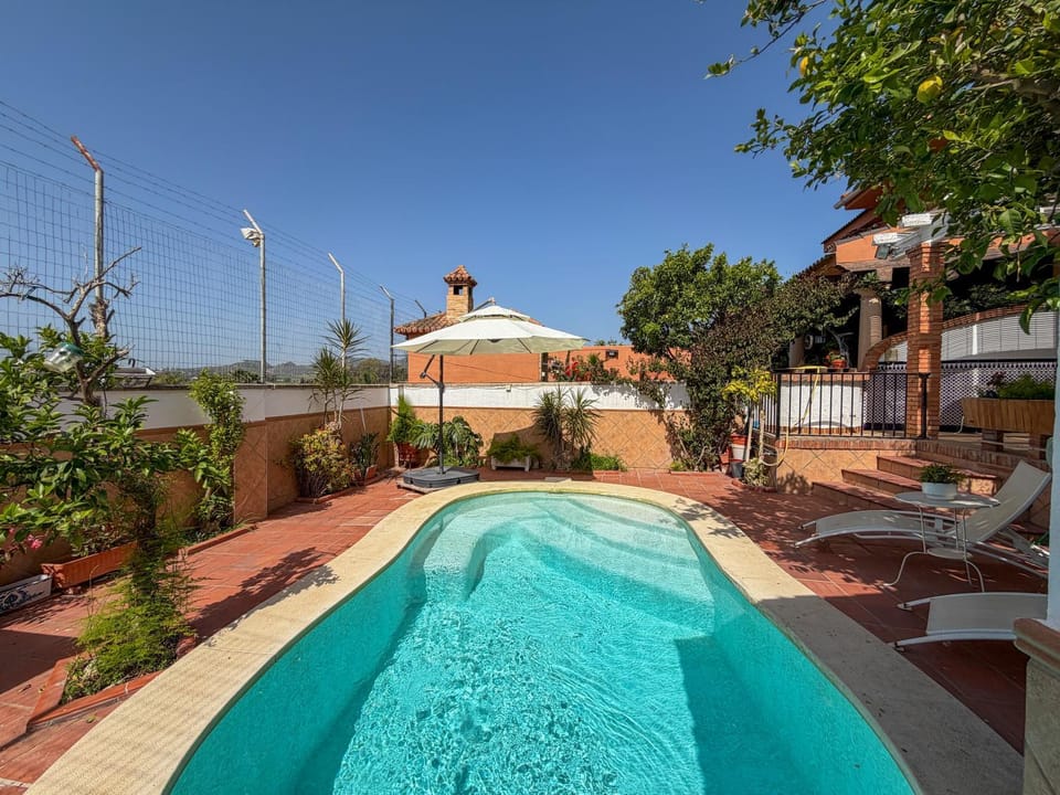 Patio, Garden, Swimming pool, sunbed