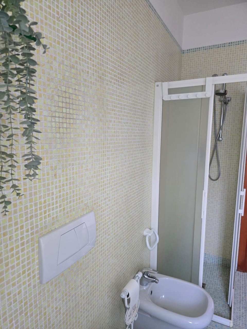 Shower, Bathroom, bidet