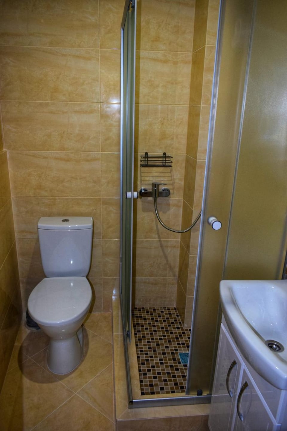 Shower, Toilet
