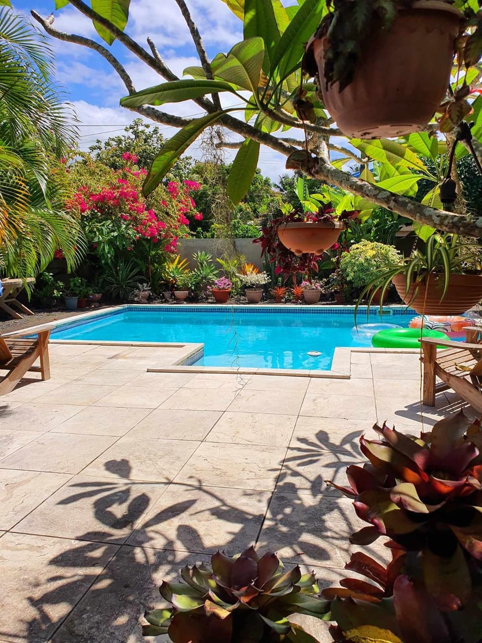 Day, Garden, Garden view, Pool view, Area and facilities, Swimming pool, Inner courtyard view