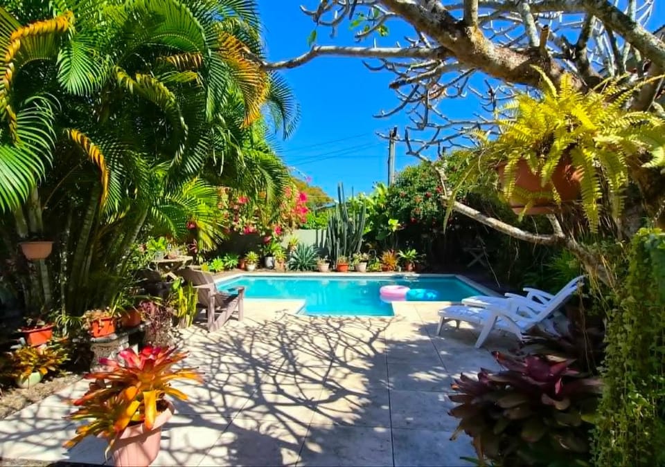 Garden, Garden view, Pool view, Swimming pool, Inner courtyard view, sunbed