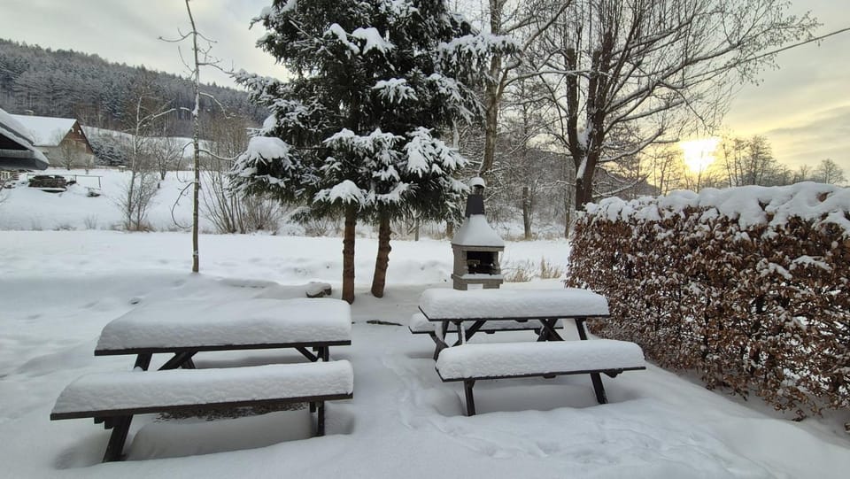 Natural landscape, Winter