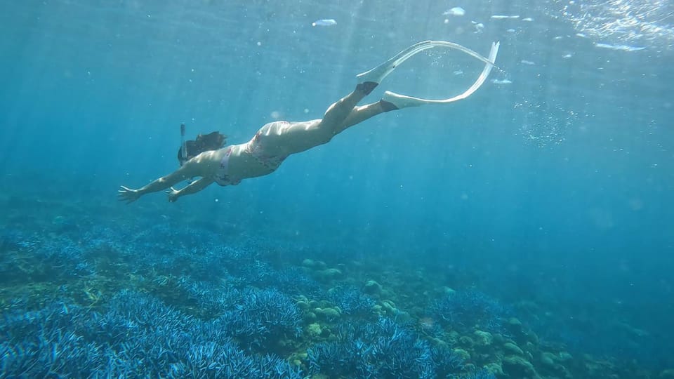 Diving