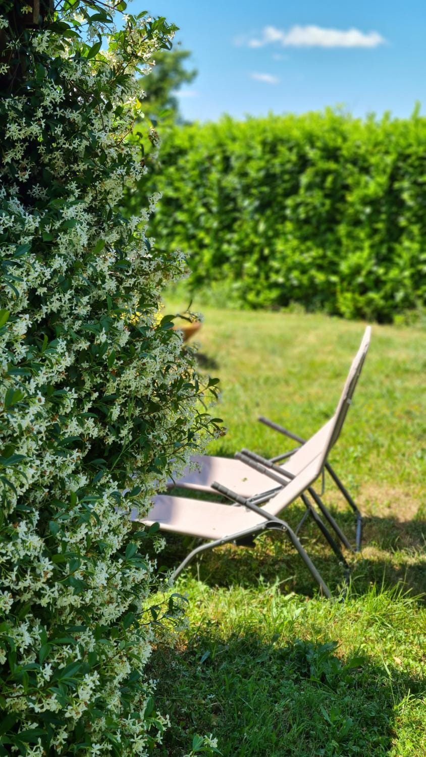 Appartamento Il Nido Apartment in Tuscany