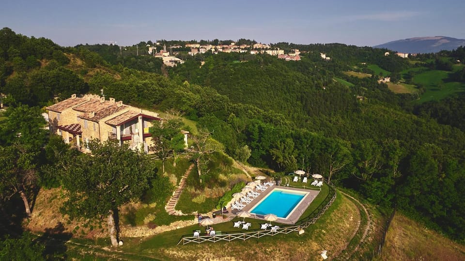 Summer, Pool view, Swimming pool