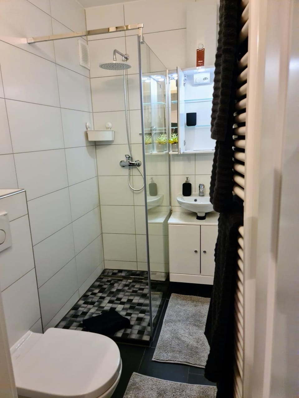 Bathroom, Photo of the whole room