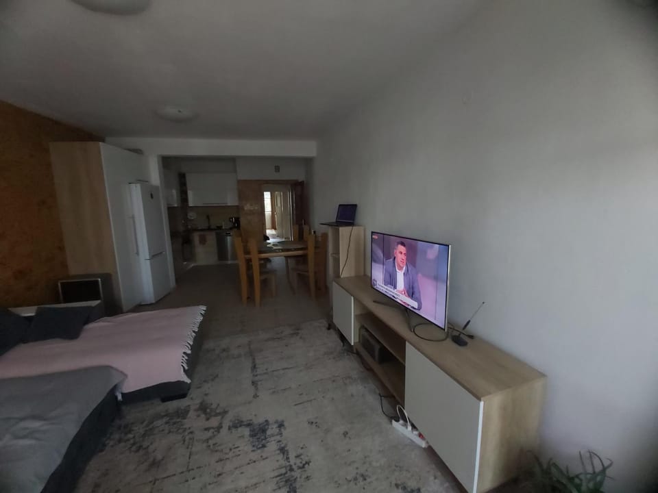 Просторен и добре обзаведен апартамент Oborishte 39 str Apartment in Plovdiv