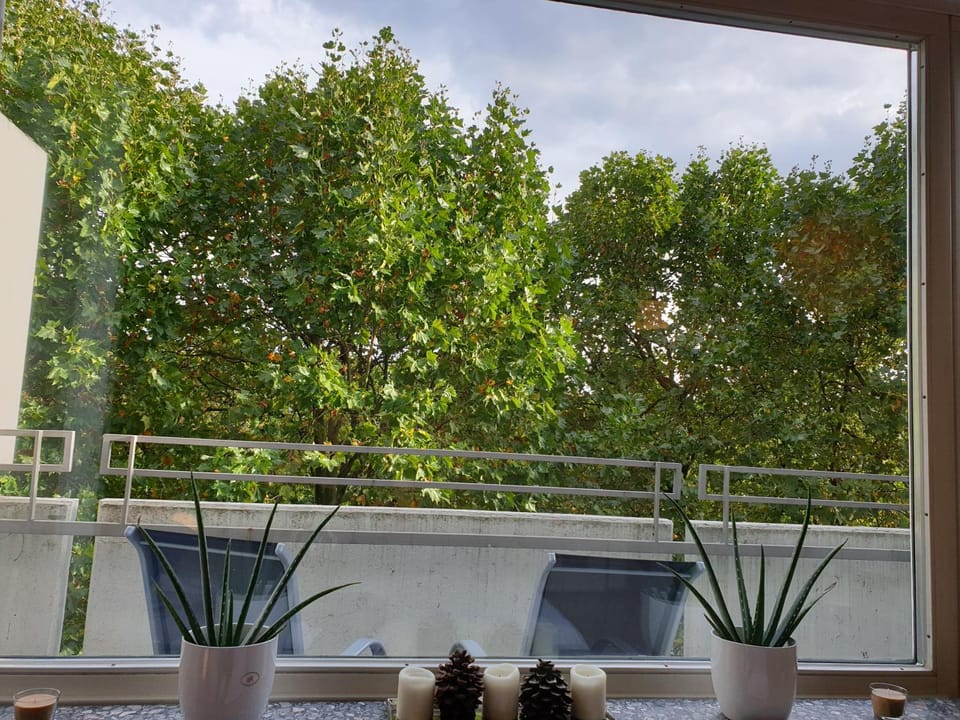 View (from property/room), Balcony/Terrace
