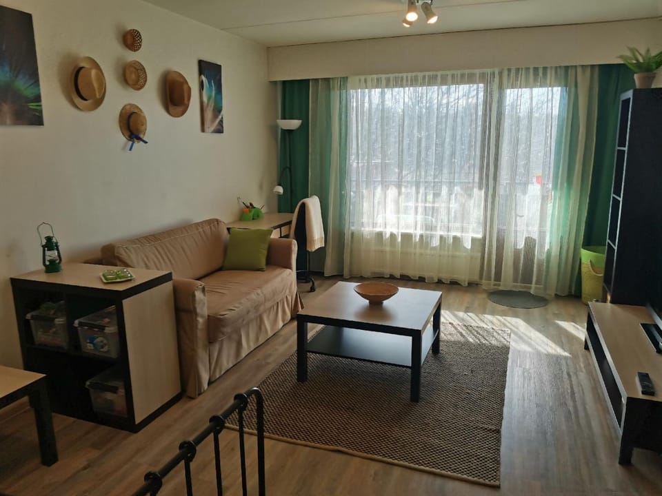 Living room, Seating area, Evening entertainment
