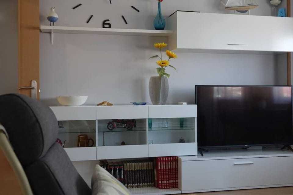 TV and multimedia