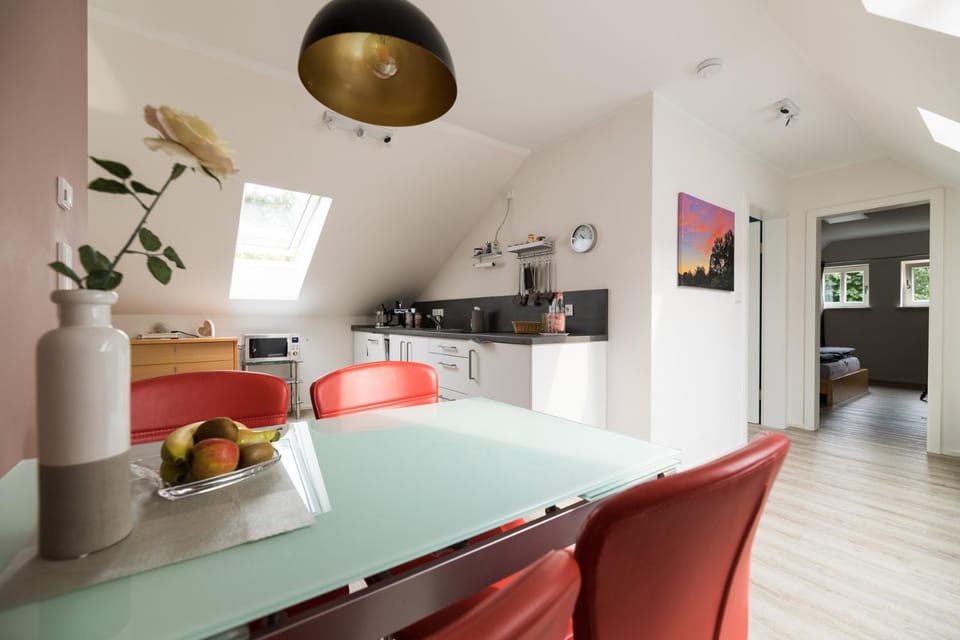 Kitchen or kitchenette, Decorative detail, Dining area, Communal kitchen