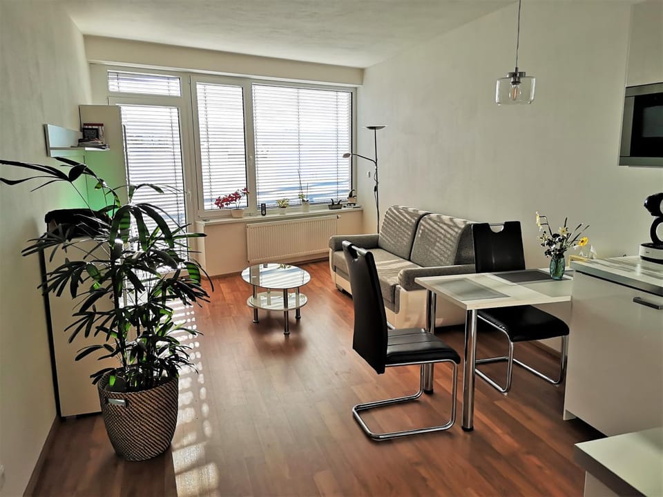 Kitchen or kitchenette, Living room, Seating area, Dining area, Bedroom
