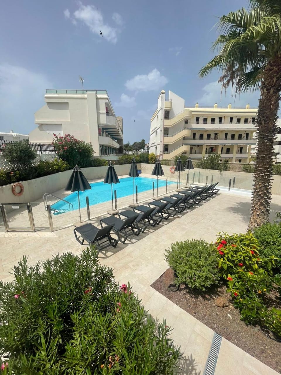Pool view, Swimming pool, sunbed