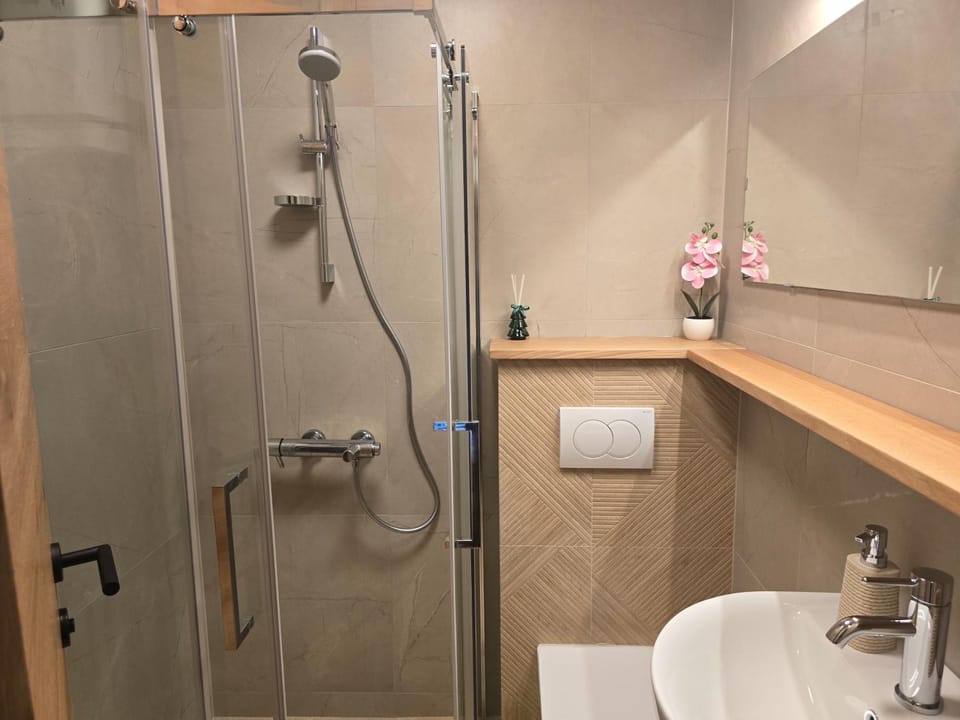 Apartman Arizanović Apartment in Zlatibor
