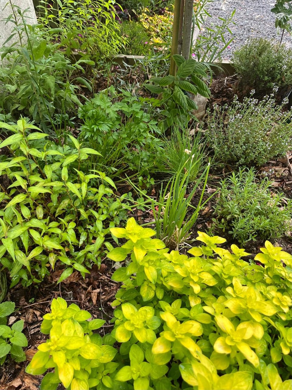 Studio GîTE COSY sur Jardin House in Finistere