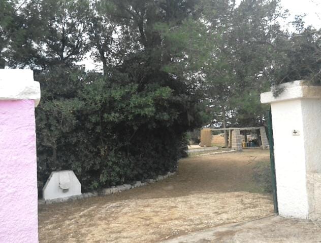 Property building, Natural landscape