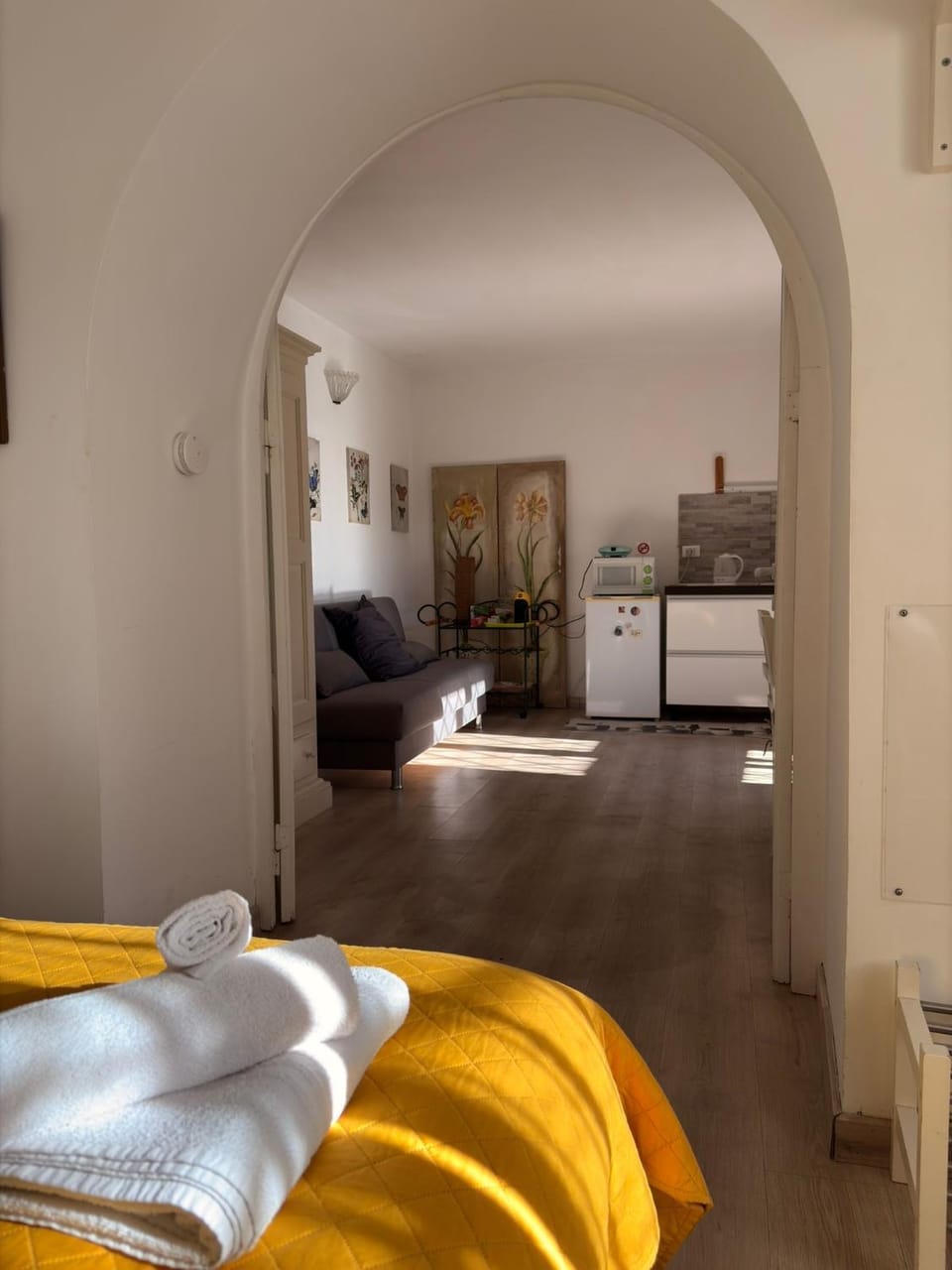 Kitchen or kitchenette, Living room, Photo of the whole room, Seating area, Bedroom