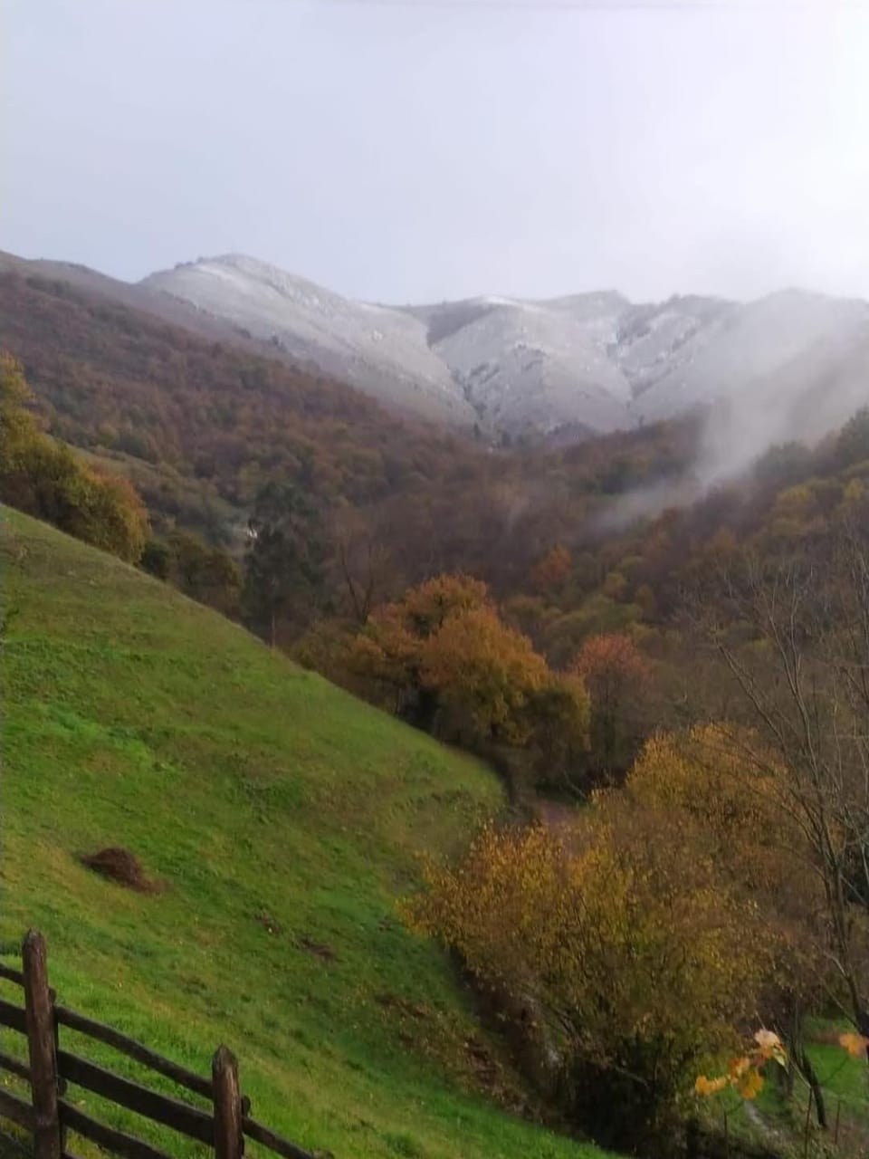 Mountain view